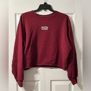 Hollister Medium Pullover Long Sleeve Cropped Top Crewneck